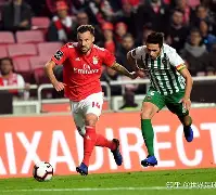 包含风云突变！勒沃库森今晨迎来里程碑，葡超版图或变，信心回归，纪律约束更严格的词条